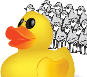 Blind Duck Development