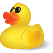 Blind Duck Development